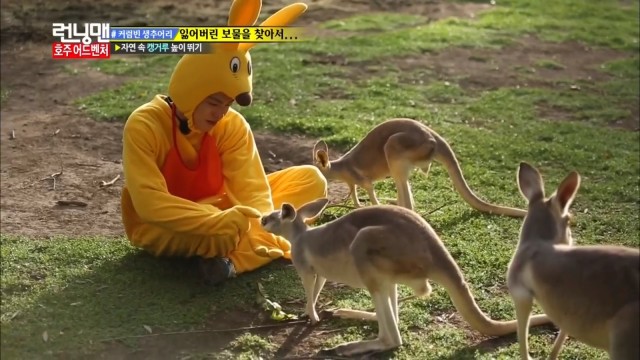 Kim_Woo_Bin_kangaroos